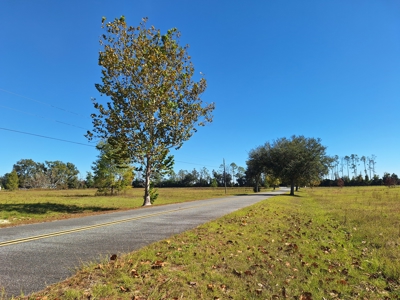 Royal Springs Equestrian Estates--4.56 Acres Near O'brien, Fl - image 2
