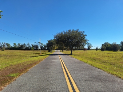 Royal Springs Equestrian Estates--4.56 Acres Near O'brien, Fl - image 1