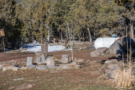 Country Home for Sale Near Cedaredge, Colorado - image 23