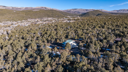 Country Home for Sale Near Cedaredge, Colorado - image 21