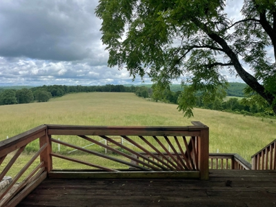 Country Home for sale in Missouri - image 23