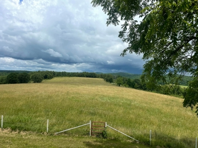 Country Home for sale in Missouri - image 24