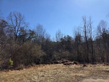 Listing 41