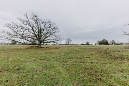 13.2 Acres For Sale Wood County - Quitman, TX Close to Lake Fork - image 10