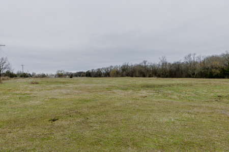 13.2 Acres For Sale Wood County - Quitman, TX Close to Lake Fork - image 3