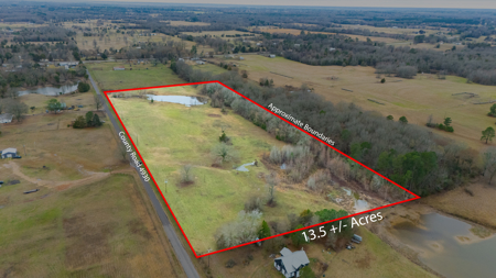 13.2 Acres For Sale Wood County - Quitman, TX Close to Lake Fork - image 2