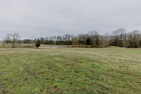 13.2 Acres For Sale Wood County - Quitman, TX Close to Lake Fork - image 6
