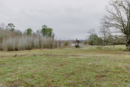 13.2 Acres For Sale Wood County - Quitman, TX Close to Lake Fork - image 9