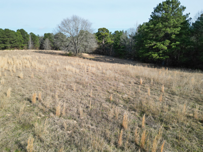 Hallsville Land for Development - image 9