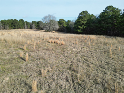 Hallsville Land for Development - image 4