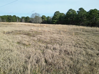 Hallsville Land for Development - image 8