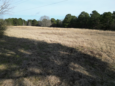 Hallsville Land for Development - image 3