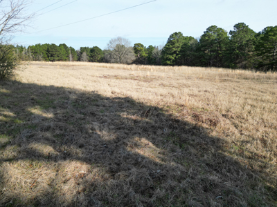 Hallsville Land for Development - image 16