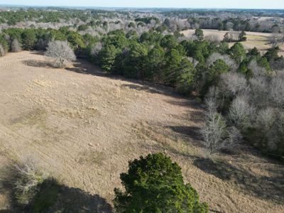 Hallsville Land for Development - image 7