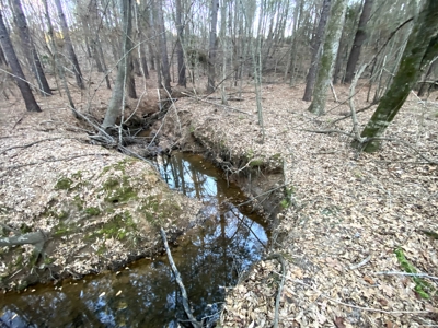 Hallsville Land for Development - image 20