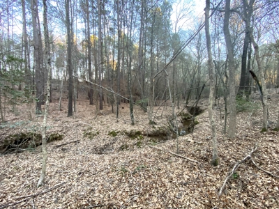 Hallsville Land for Development - image 18