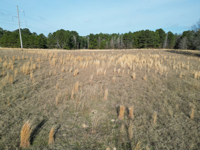 Hallsville Land for Development - image 15