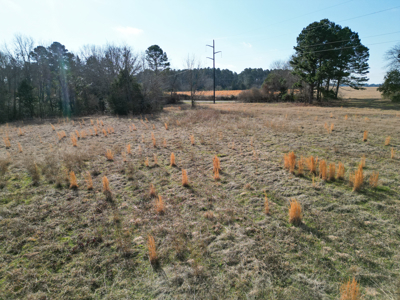 Hallsville Land for Development - image 12