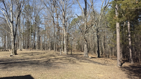 Cabin And Land For Sale In North Central Arkansas - image 16