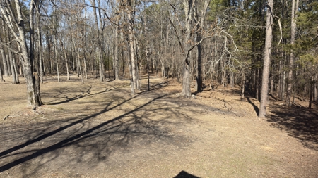 Cabin And Land For Sale In North Central Arkansas - image 17