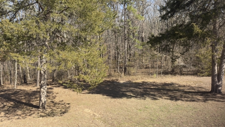 Cabin And Land For Sale In North Central Arkansas - image 24