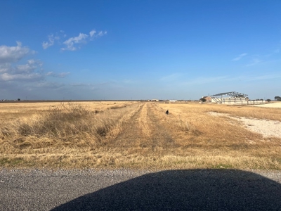 Acreage for Sale in San Patricio County, Odem, Texas - image 3