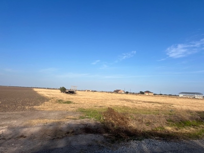Acreage for Sale in San Patricio County, Odem, Texas - image 2