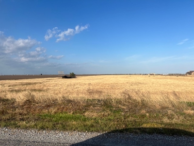 Acreage for Sale in San Patricio County, Odem, Texas - image 1