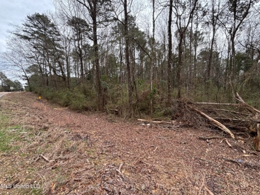 Listing 238