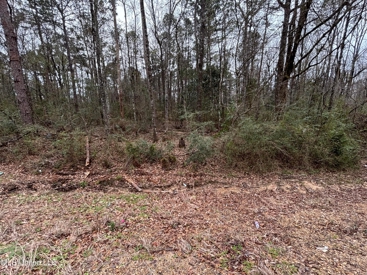 Listing 238