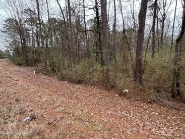 Listing 238
