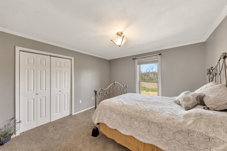 21.85 Acre Farm Ranch in Winnsboro Franklin County Texas for Sale - image 15