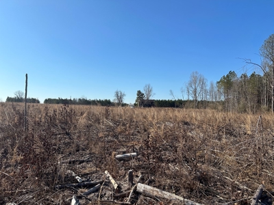 The Hideaway | 10 Acres of Pure Seclusion - image 4