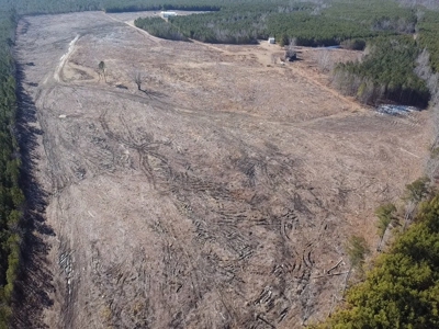 The Hideaway | 10 Acres of Pure Seclusion - image 22