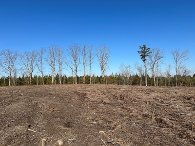 The Hideaway | 10 Acres of Pure Seclusion - image 6