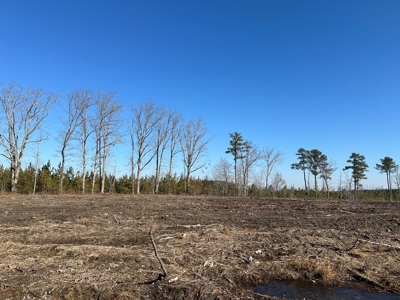 The Hideaway | 10 Acres of Pure Seclusion - image 3