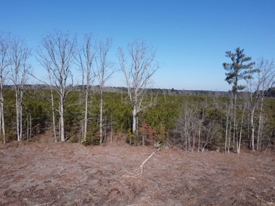 The Hideaway | 10 Acres of Pure Seclusion - image 21