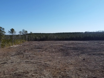 The Hideaway | 10 Acres of Pure Seclusion - image 20