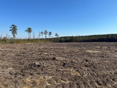 The Hideaway | 10 Acres of Pure Seclusion - image 5