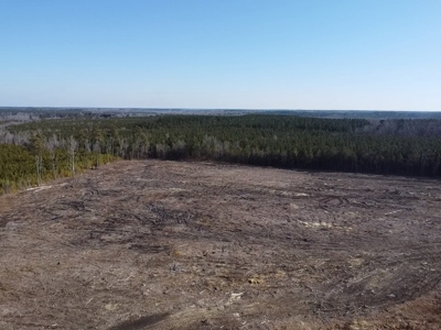 The Hideaway | 10 Acres of Pure Seclusion - image 23