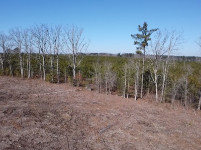 The Hideaway | 10 Acres of Pure Seclusion - image 24