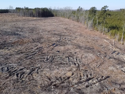 The Hideaway | 10 Acres of Pure Seclusion - image 19