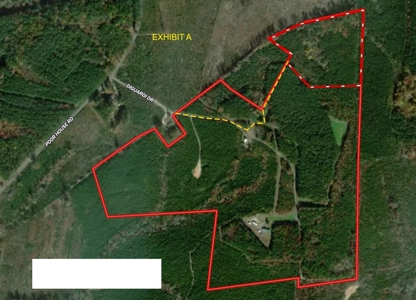 The Hideaway | 10 Acres of Pure Seclusion - image 2