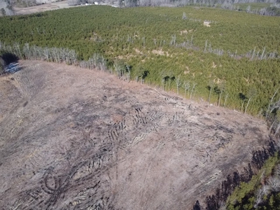 The Hideaway | 10 Acres of Pure Seclusion - image 17