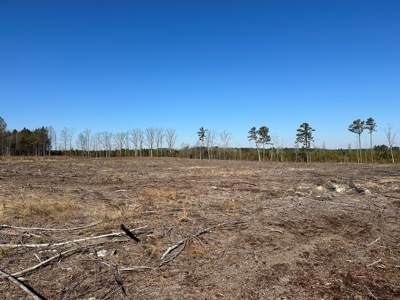 The Hideaway | 10 Acres of Pure Seclusion - image 12