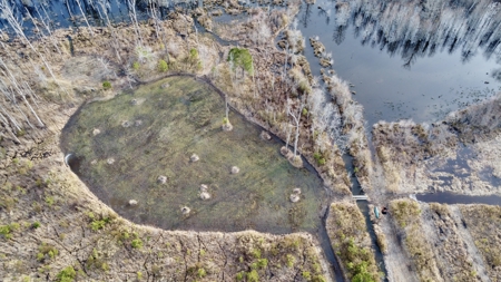 Turnkey Hunting + Investment Property w/ Beaver Swamp - image 33