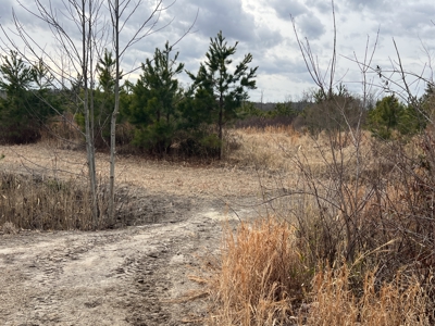 Turnkey Hunting + Investment Property w/ Beaver Swamp - image 14