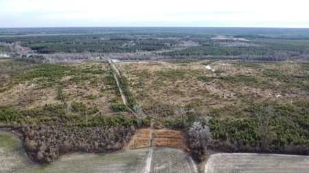 Turnkey Hunting + Investment Property w/ Beaver Swamp - image 31