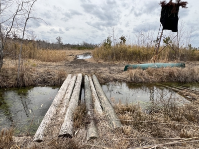 Turnkey Hunting + Investment Property w/ Beaver Swamp - image 20