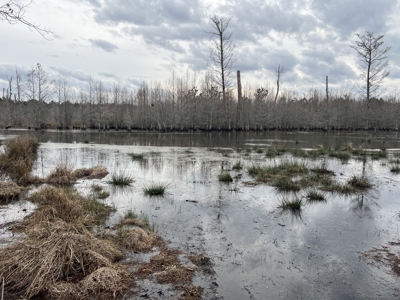 Turnkey Hunting + Investment Property w/ Beaver Swamp - image 23